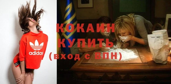 ECSTASY Пересвет