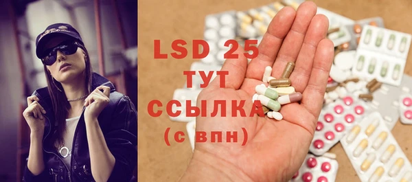 ECSTASY Пересвет