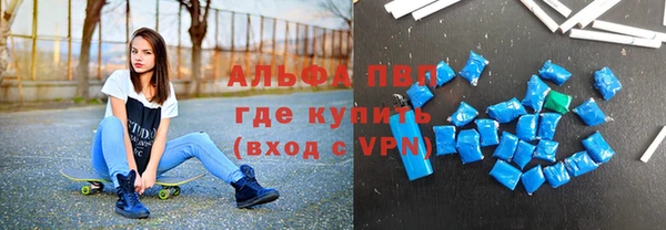 ECSTASY Пересвет